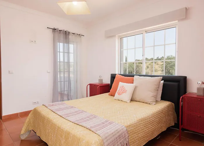 Judy - * 阿尔布费拉